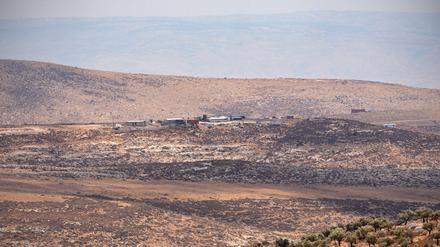 ARCHIV - 01.08.2025, Palästinensische Gebiete, Taybeh: Olivenbäume wachsen nahe eines Ortes im Westjordanland. (zu dpa: «Palästinenser: Ein Toter nach Siedlerangriff nahe Nablus») Foto: Soeren Stache/dpa +++ dpa-Bildfunk +++