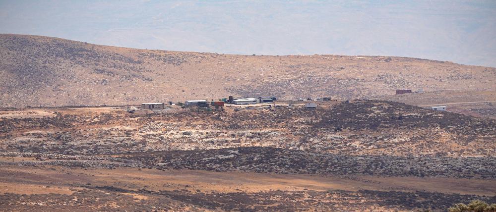 ARCHIV - 01.08.2025, Palästinensische Gebiete, Taybeh: Olivenbäume wachsen nahe eines Ortes im Westjordanland. (zu dpa: «Palästinenser: Ein Toter nach Siedlerangriff nahe Nablus») Foto: Soeren Stache/dpa +++ dpa-Bildfunk +++