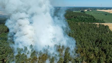 Rauch eines Brandes steigt aus einem Waldstück in Brandenburg. Das Bundesland ist besonders gefährdet.
