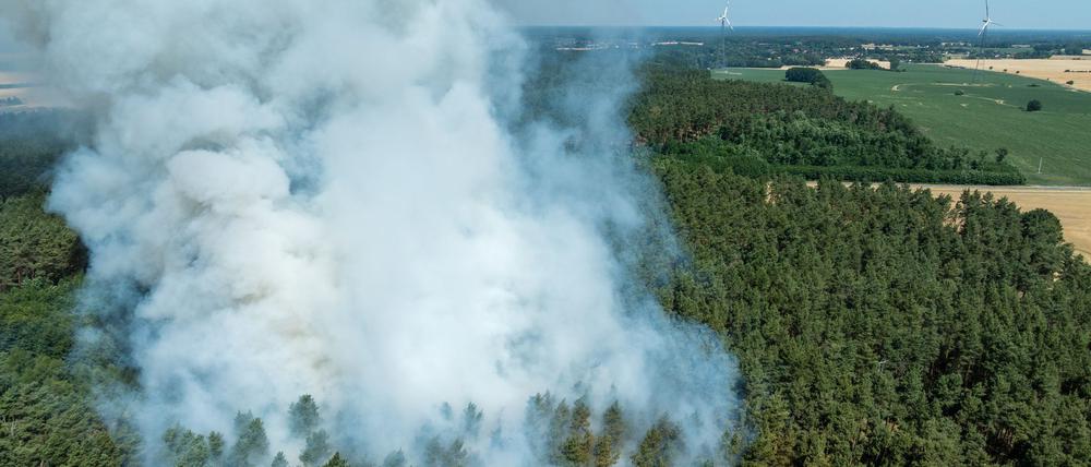 Rauch eines Brandes steigt aus einem Waldstück in Brandenburg. Das Bundesland ist besonders gefährdet.