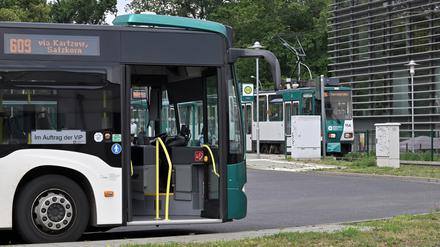 Bus und Tram in Potsdam. 