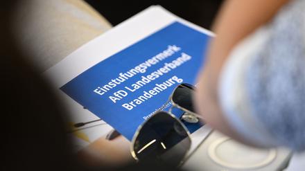 Brandenburgs Verfassungsschutz hat die AfD als rechtsextrem eingestuft.