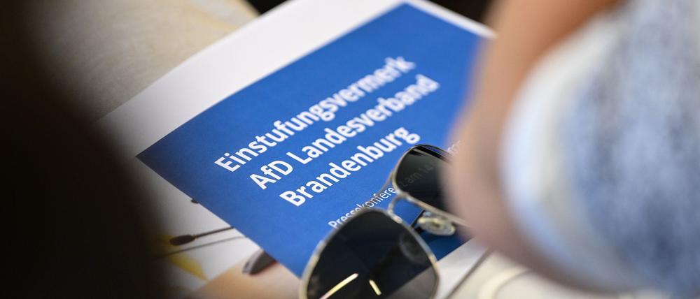 Brandenburgs Verfassungsschutz hat die AfD als rechtsextrem eingestuft.