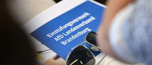 Brandenburgs Verfassungsschutz hat die AfD als rechtsextrem eingestuft.