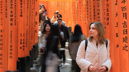Der Fushimi Inari Schrein ist eine der bekanntesten und meistbesuchten Sehenswürdigkeiten in Kyoto.