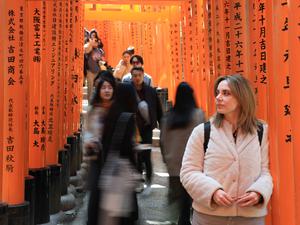 Der Fushimi Inari Schrein ist eine der bekanntesten und meistbesuchten Sehenswürdigkeiten in Kyoto.