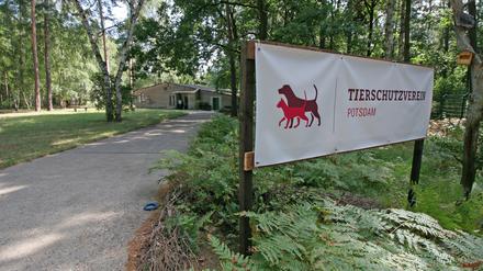 Tierschutzverein Potsdam reröffnete 2020 ein neues Tierheim auf dem ehemaligen Sago-Gelände an der Michendorfer Chaussee ein.