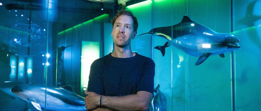 Engagiert sich schon lange für die Umwelt: der viermalige Formel-1-Weltmeister Sebastian Vettel.