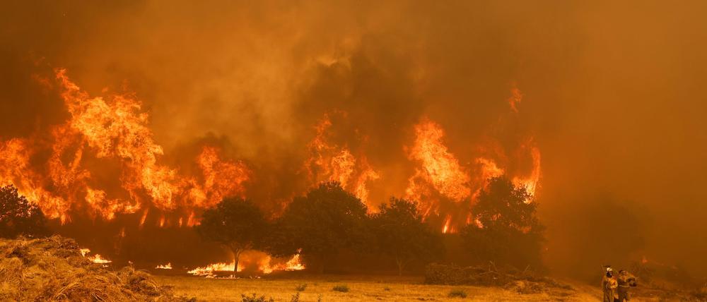Die Brandbekämpfer sehen sich teilweise mit riesigen Feuerwänden konfrontiert, die durch stürmische Winde jederzeit blitzartig die Richtung ändern können.