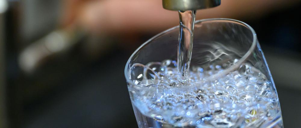 Extremhitze und Trockenheit: Künftig mehr Engpässe bei der Wasserversorgung in Deutschland erwartet. (Archivbild)