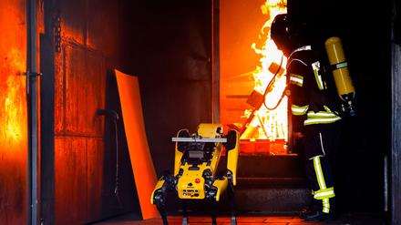 Informatiker wollen Roboter „Byte“ den Umgang mit Flammen beibringen. 