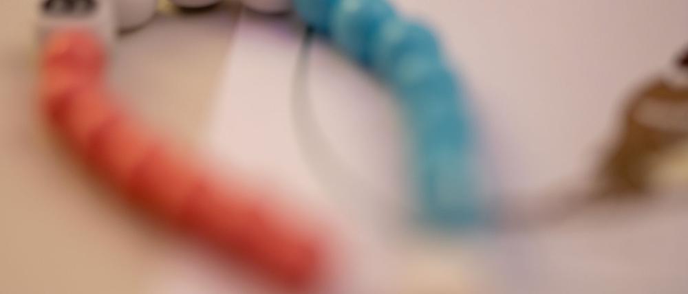 Laut Statistik gibt es bei der Lebenserwartung von Männern und Baden-Württemberg und Sachsen-Anhalt den größten Unterschied. (Symbolbild)