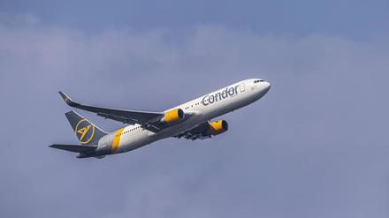 Ein Condor-Flieger.