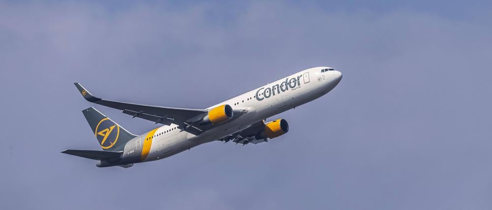 Ein Condor-Flieger.