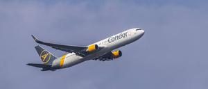 Ein Condor-Flieger.