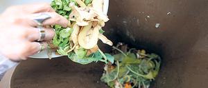 Nur Küchen- und Gartenabfälle gehören tatsächlich in die Biotonne, stellt das Potsdamer Rathaus klar.