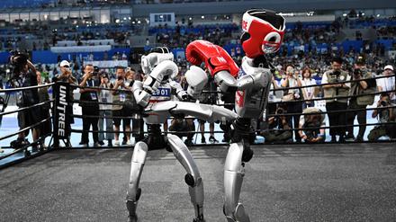 Wie beim Kickboxen. Ein Roboter trifft seinen Gegner auf Brusthöhe.
