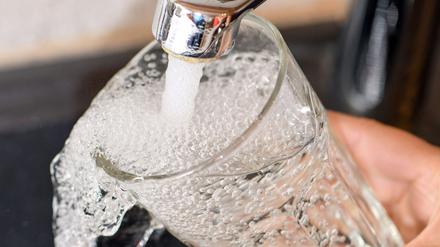 Eine Frau füllt ein Glas mit Trinkwasser aus dem Hahn (Symbolfoto).