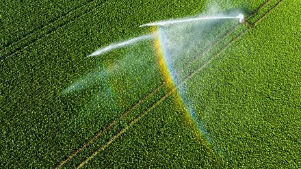 Nicht einmal fünf Prozent der landwirtschaftlichen Fläche kann bewässert werden. 