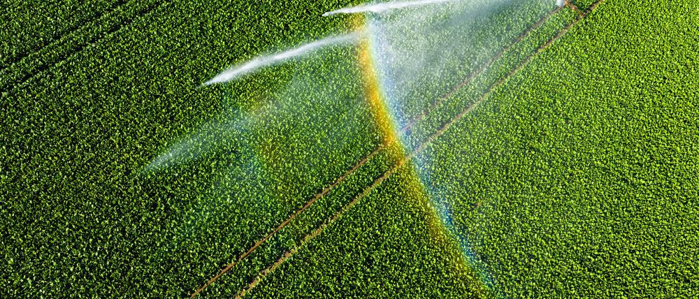 Nicht einmal fünf Prozent der landwirtschaftlichen Fläche kann bewässert werden. 