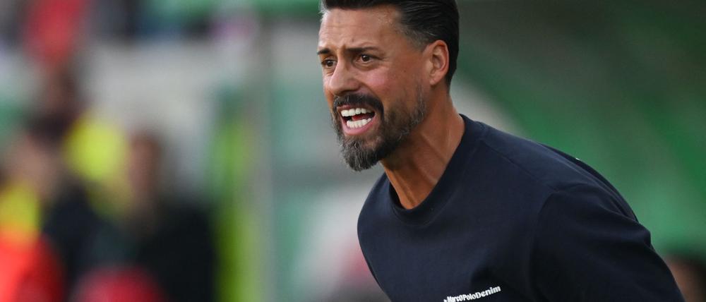 Sandro Wagner im DFB-Pokal seines FC Augsburg beim Halleschen FC.
