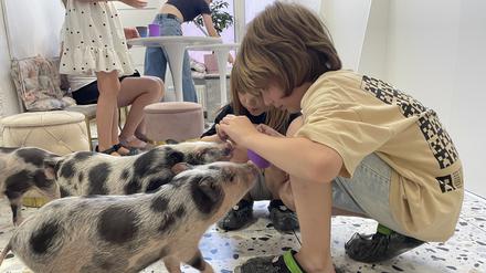 Kleine Ablenkung vom Kriegsalltag: Kinder spielen mit Schweinen im Kyjiwer „Piggy Café“.