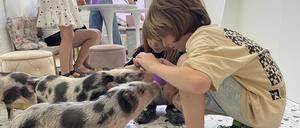 Kleine Ablenkung vom Kriegsalltag: Kinder spielen mit Schweinen im Kyjiwer „Piggy Café“.