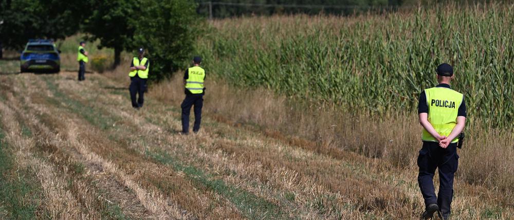 Polnische Polizisten sichern das Gebiet eines Maisfeldes in Osiny in Ostpolen, in das ein unbekanntes Flugobjekt gestürzt ist. (Foto aktuell)
