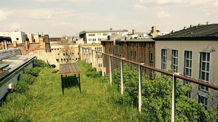 Dachausbau