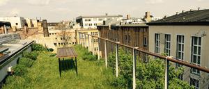 Dachausbau