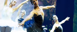 Die Zeitschrift „Tanz“ hat ihre alljährlichen Bestenlisten veröffentlicht. 