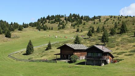 Die Seiser Alm in Südtirol.