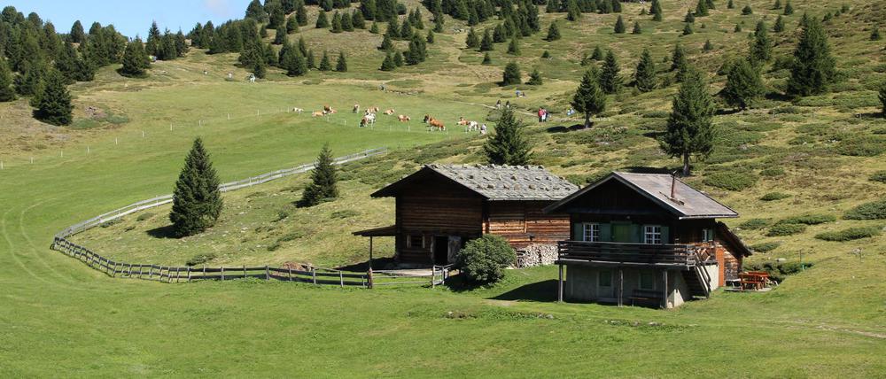 Die Seiser Alm in Südtirol.