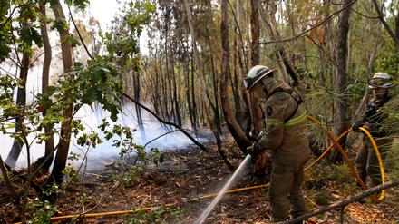 In Portugal gibt es eine leichte Entspannung bei den schweren Waldbränden. Noch aber sind rund 1.400 Feuerwehrleute im Einsatz.