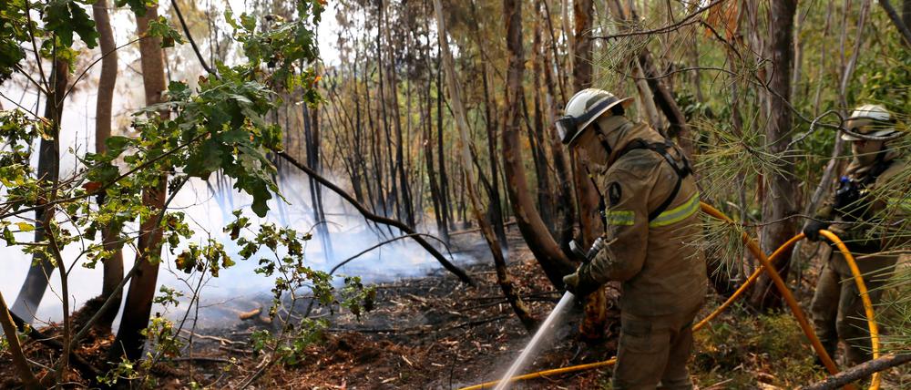 In Portugal gibt es eine leichte Entspannung bei den schweren Waldbränden. Noch aber sind rund 1.400 Feuerwehrleute im Einsatz.