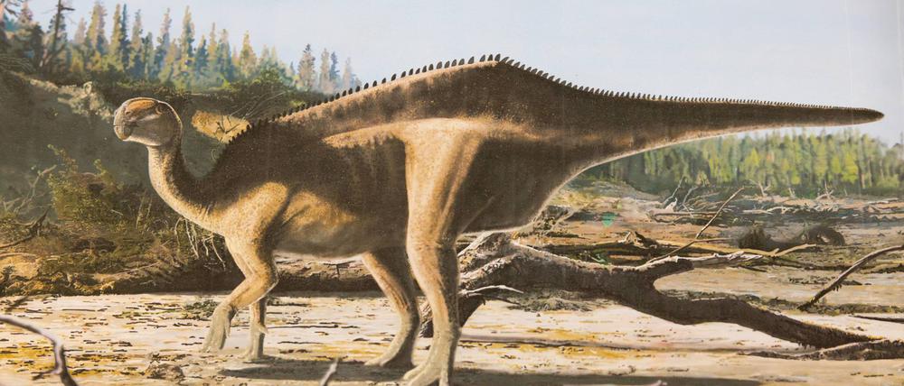 Künstlerische Darstellung von Istiorachis macaruthurae