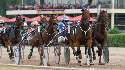 Der Trabsport in Mariendorf hat eine sehr lange Geschichte.
