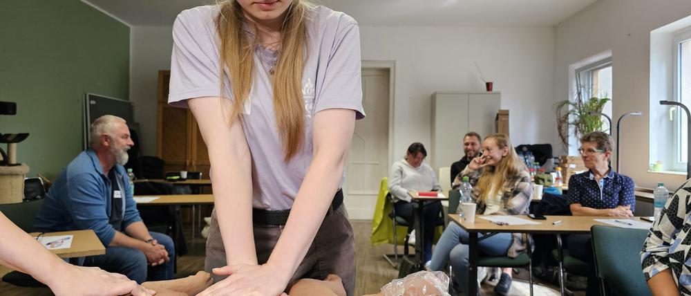 Die Herz-Druck-Massage kann im Erste-Hilfe-Kurs an einem Dummyhund geübt werden.