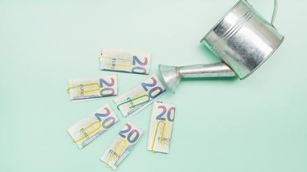 Zu viel Geld mit zu wenig Wirkung: Der deutsche Sozialstaat ist nach Meinung der Autorin nicht effizient genug organisiert.