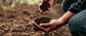 Pilze und Bakterien reagieren empfindlich auf Temperaturanstiege.