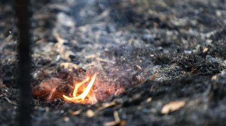 Die meisten Waldbrände sind menschengemacht, sagt Horn. (Symbolbild)