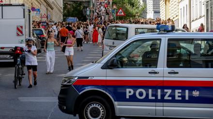 Ein Polizeiauto steht in der Nähe von versammelten «Swifties». Aus Angst vor einem Terroranschlag sind im August 2024 Taylor-Swift-Konzerte in Wien abgesagt worden.