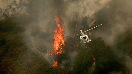 Ein Löschhubschrauber wirft Wasser über einem Feuer in der spanischen Provinz Ourense ab.