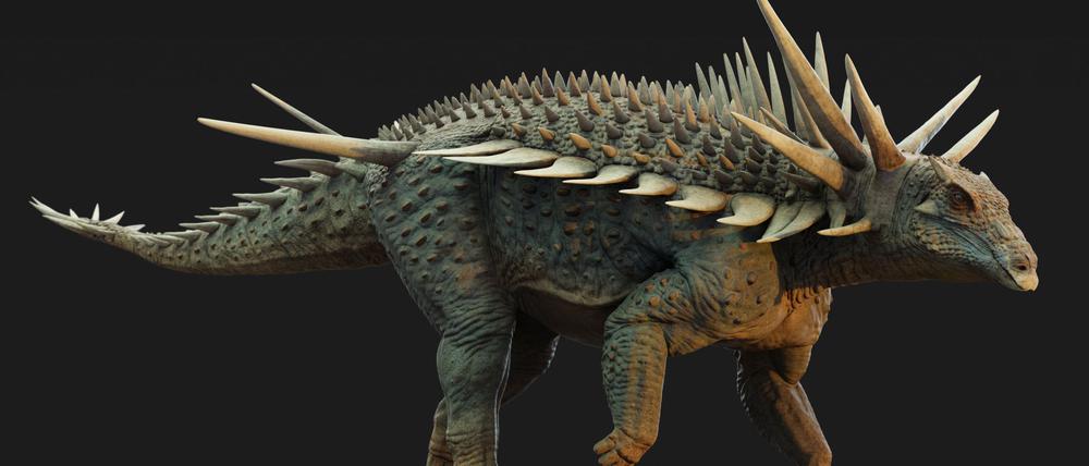 Eine grafische Darstellung zeigt eine Rekonstruktion von Spicomellus afer.