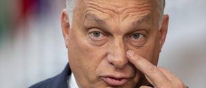Regiert Ungarn autokratisch: Viktor Orban