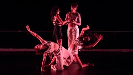 Zu dem Tanzfestival "Moving Bodies" der Oxymoron Dance Company in Potsdam. Credits: Markus Bertuzzo