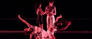 Zu dem Tanzfestival "Moving Bodies" der Oxymoron Dance Company in Potsdam. Credits: Markus Bertuzzo