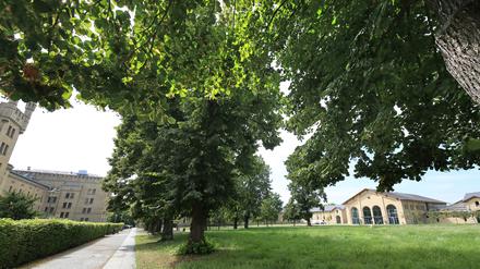 Dalton Gymnasium Potsdam. Der Landschaftsschutzverein e.V. hat beim Verwaltungsgericht gegen die geplante Errichtung temporärer Container für das Dalton-Gymnasium auf dem Hof des Oberstufenzentrums in der Jägervorstadt rechtliche Schritte eingeleitet.
