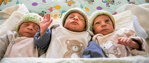 Drillinge in Winnenden: Leon, Luka und Levi (von links)