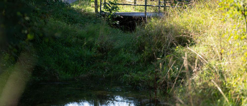 Unter der Brücke hatten Anwohner schon früh den Geruch mitbekommen.